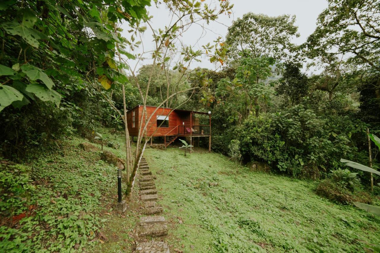 Coffee & Adventure Hotel By La Palma Y El Tucan Zipacon Exteriér fotografie