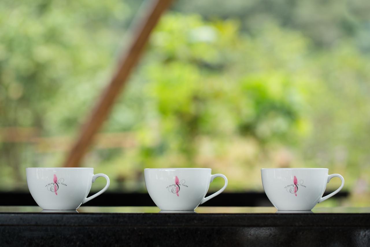 Coffee & Adventure Hotel By La Palma Y El Tucan Zipacon Exteriér fotografie