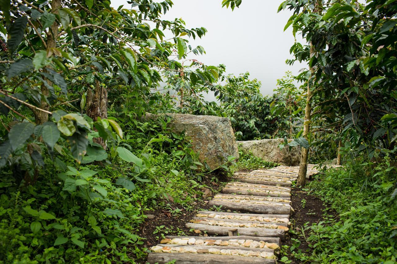 Coffee & Adventure Hotel By La Palma Y El Tucan Zipacon Exteriér fotografie