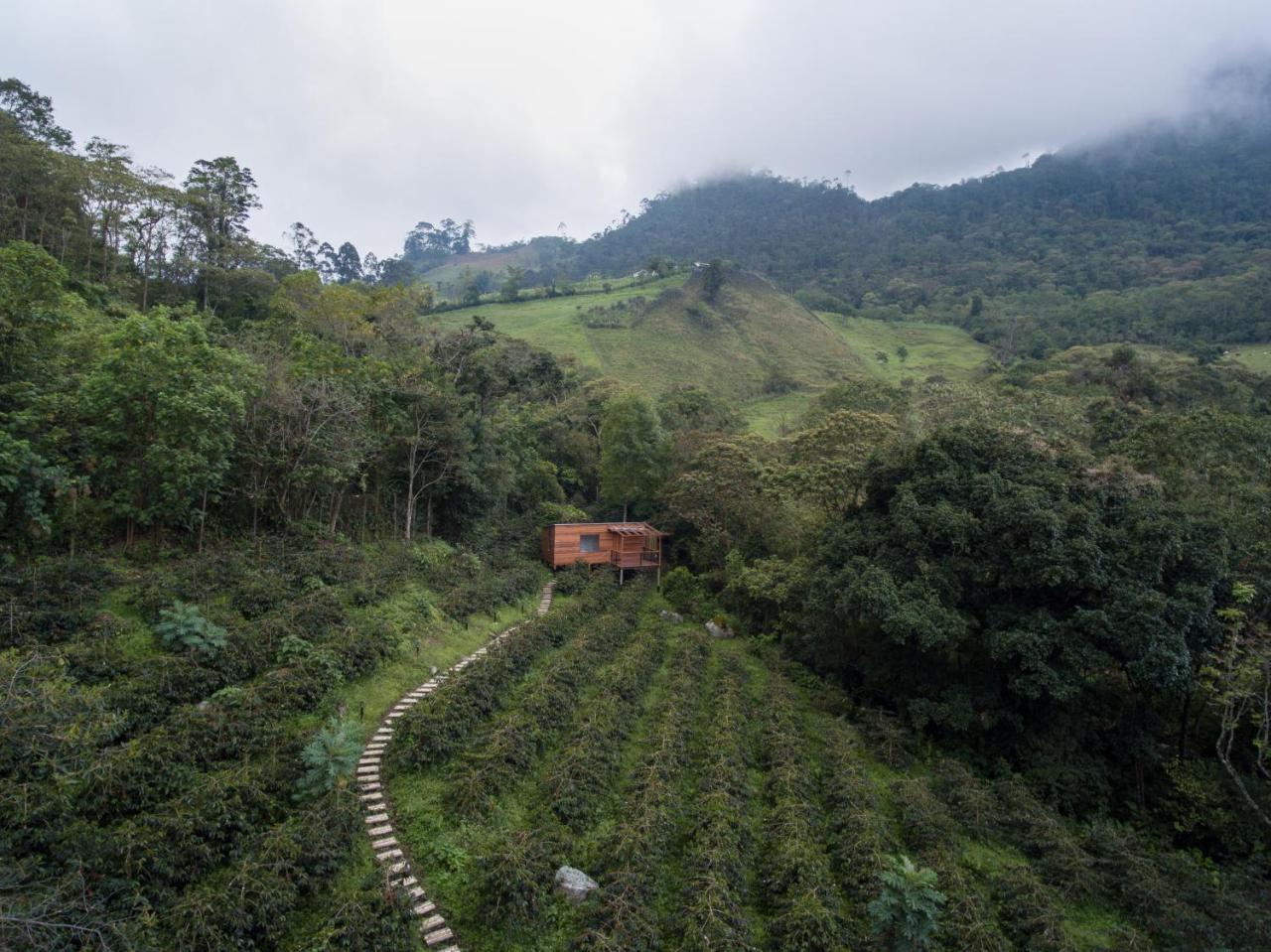 Coffee & Adventure Hotel By La Palma Y El Tucan Zipacon Exteriér fotografie