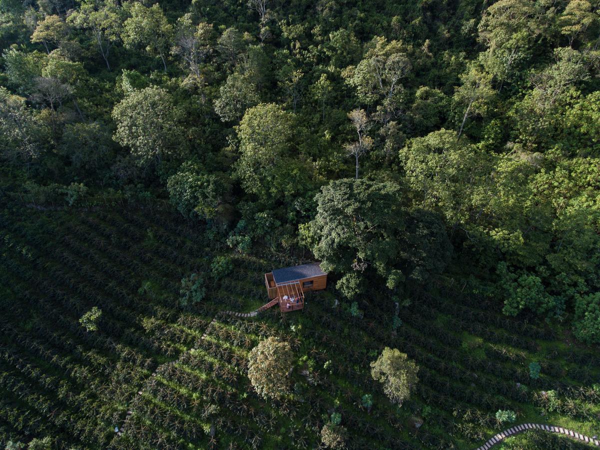 Coffee & Adventure Hotel By La Palma Y El Tucan Zipacon Exteriér fotografie